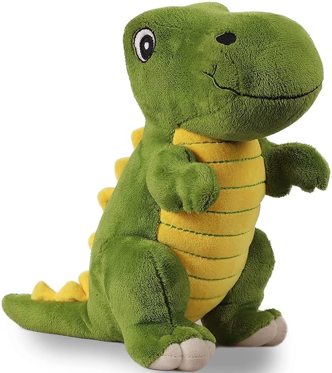 Dinosaur Gift for Kids