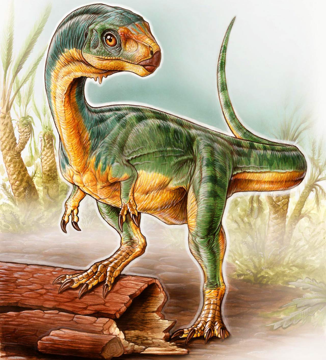 The Chilesaurus